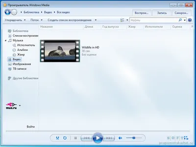 Windows Media Player торрент
